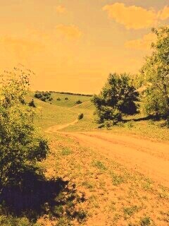 Просёлочная дорога обои