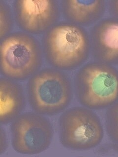 Карандаши обои