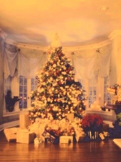 Подарки под ёлкой обои