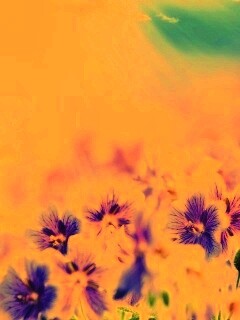 Цветочки обои