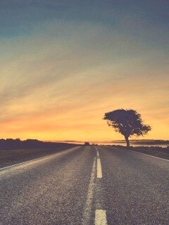 Дорога обои