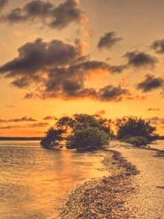 Побережье на закате обои