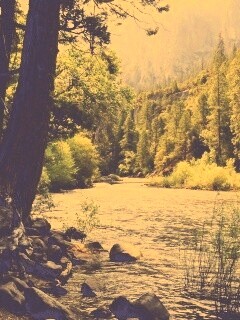 Национальный заповедник обои