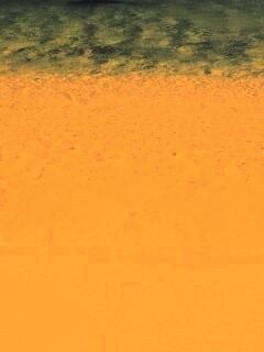 Mac OS X Lion стандартные обои