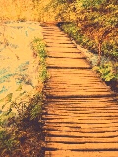 Деревянная дорожка над ручьем обои