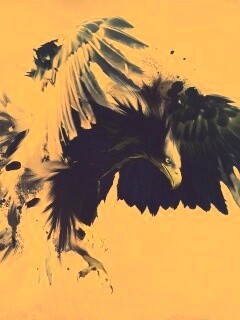 Скетч с орлом обои