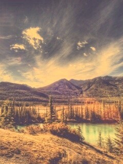 Болотистая местность обои