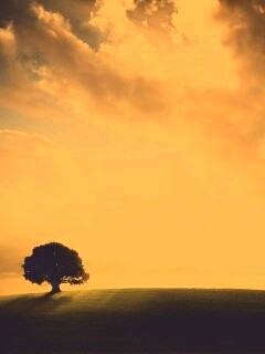 Холм и дерево обои