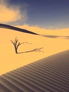 Дюны белого песка обои