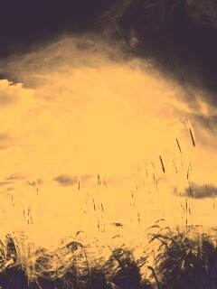 Сюрреалистичная трава обои