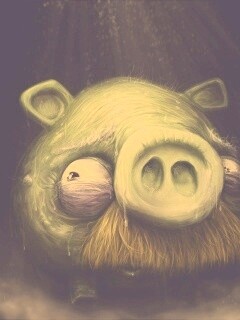 Свинья из Angry Birds обои