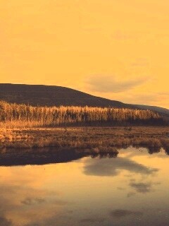 Осеннее озеро обои