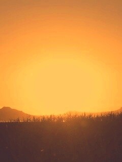 Сельский закат обои