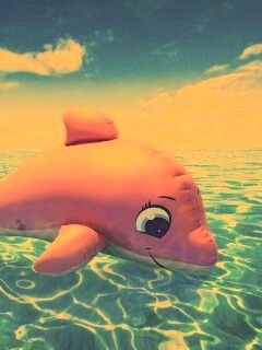 Надувной розовый дельфин обои