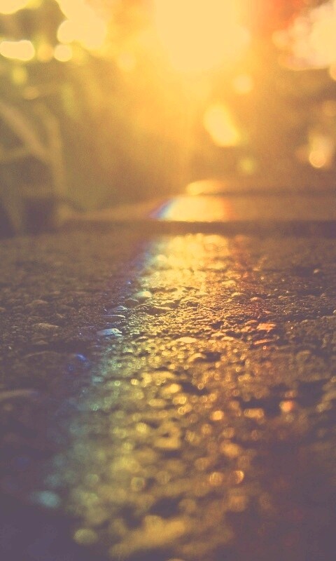 Макро радуга на камне обои