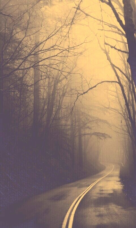 В туман обои