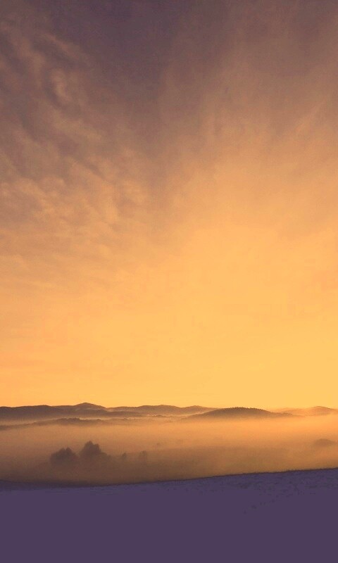 Утренний туман обои