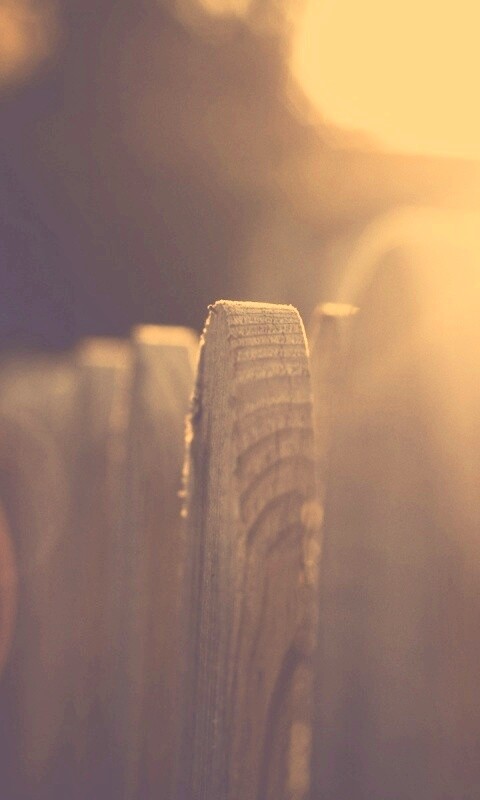 Деревянный забо обои