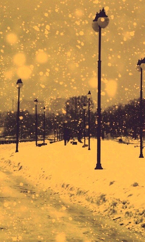 Зимняя набережная обои