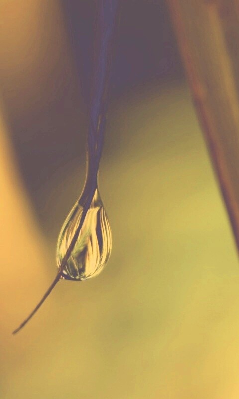 Стекающая капля обои