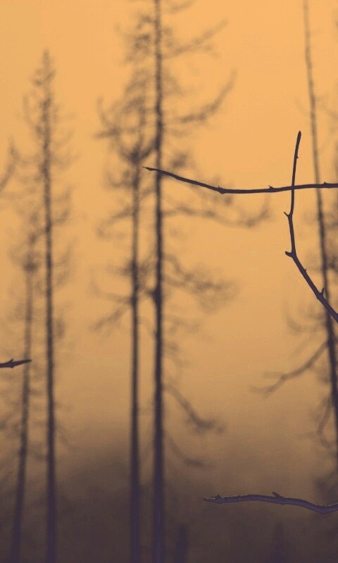 Безысходность обои