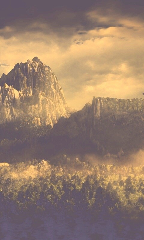 Горы посреди джунглей обои