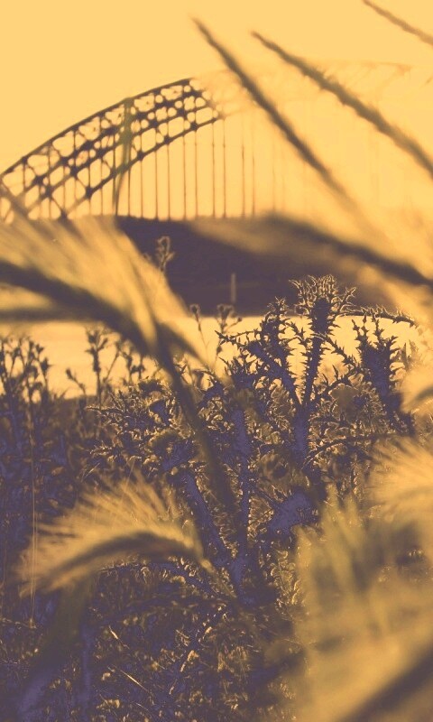 Железнодорожный мост обои