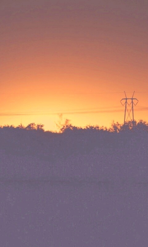 Закат за лесом обои