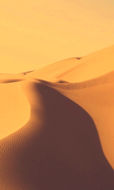 Барханы в пустыне обои