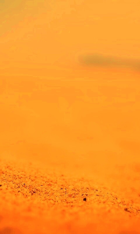 Желтый песок обои