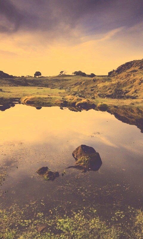 Затопленная долина в Новой Зеландии обои