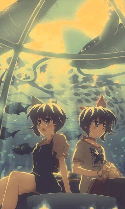 В океанариуме обои