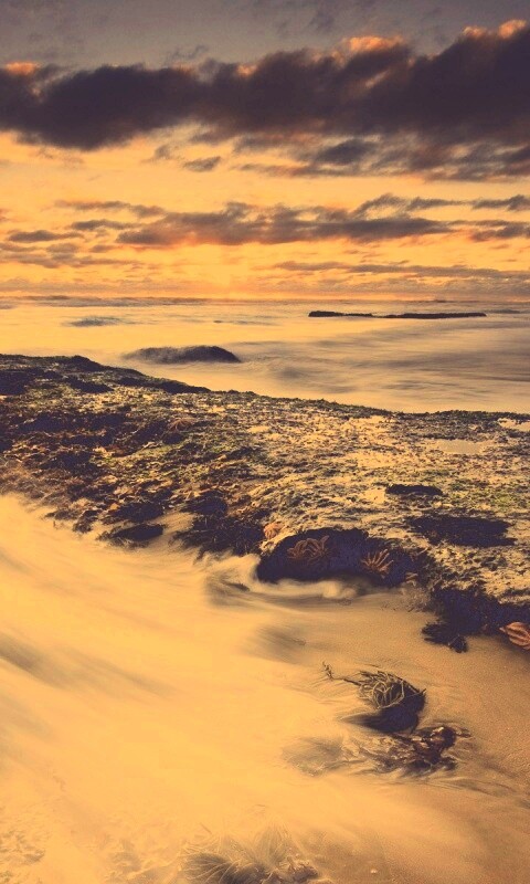 Туманный мыс обои