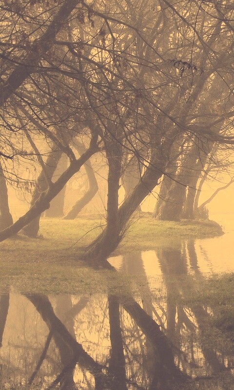 Затопленный парк обои