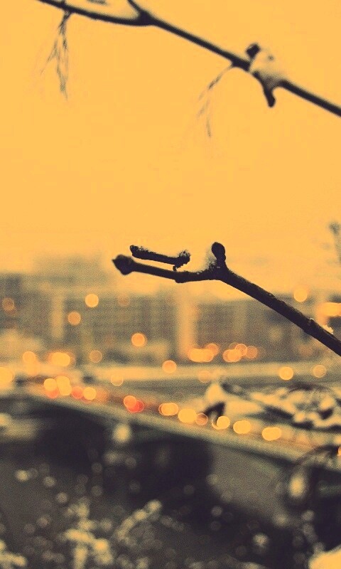 Зима в городе обои