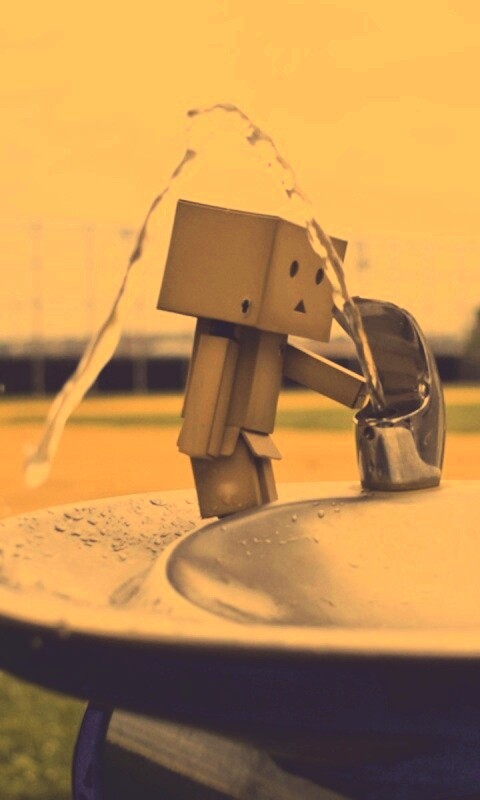 Дандо пьет в воду из фонтанчика обои