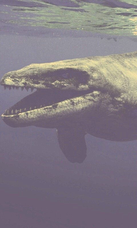 Морской динозавр обои