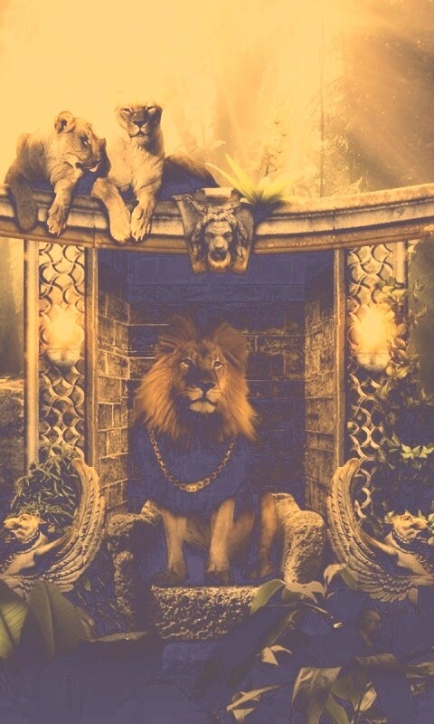 Царь зверей обои