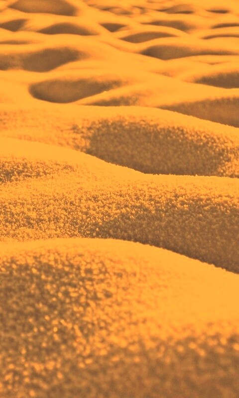 Песчаные бугры обои