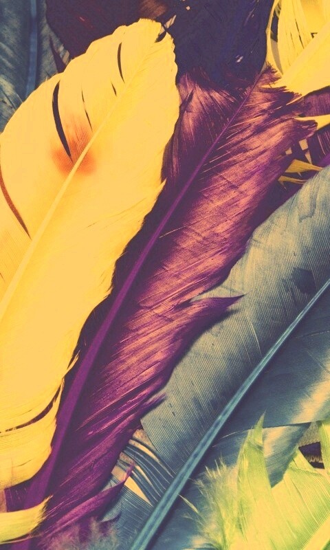 Разноцветные перья обои