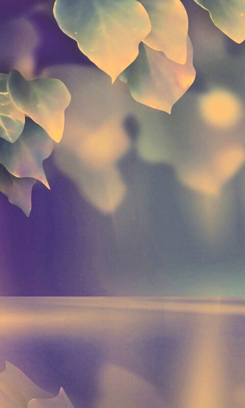 Синие листья обои