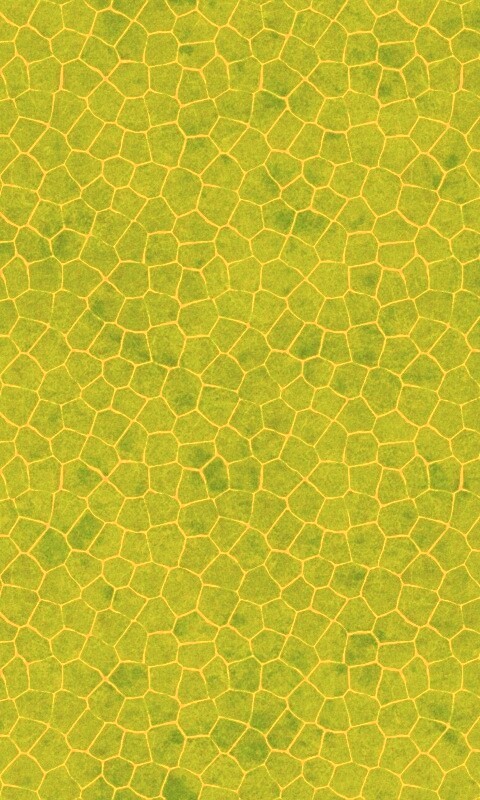 Зелёные сегменты обои