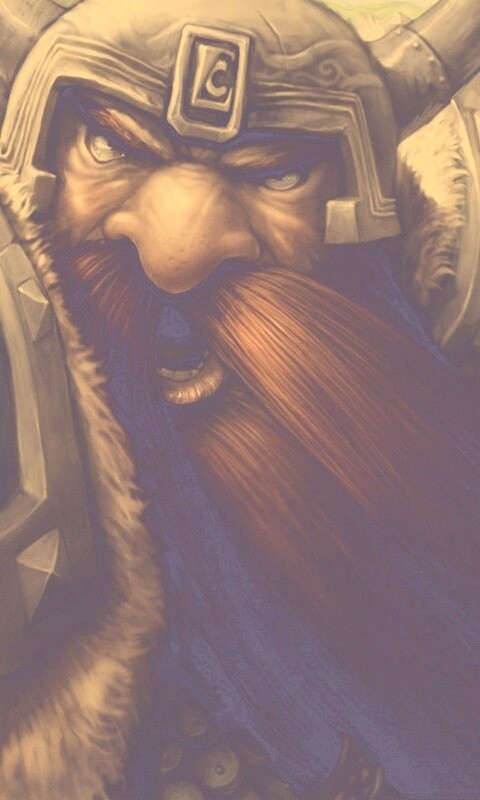 Гном убегающий от ночной эльфийки обои