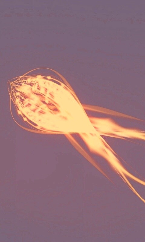 Сгусток красных линий обои