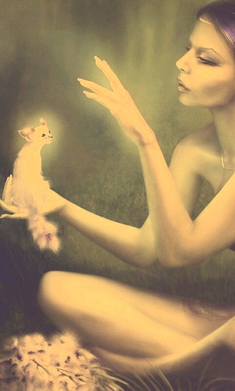 Почет и процветание обои