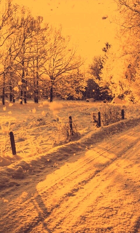 Снежная дорога залитая солнцем обои