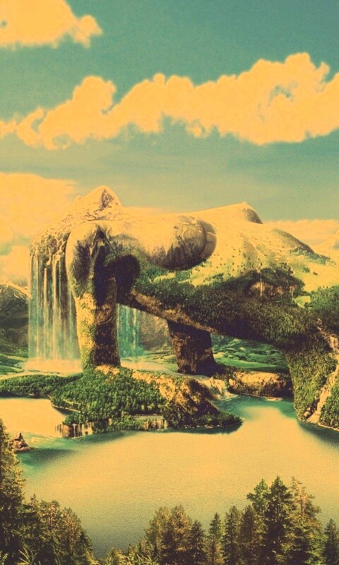 Природа обои