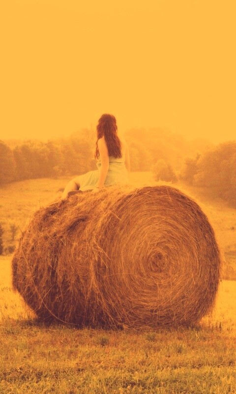 Девушка на снопе сена обои