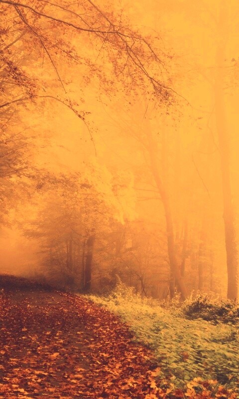 Осенний мистический пейзаж обои