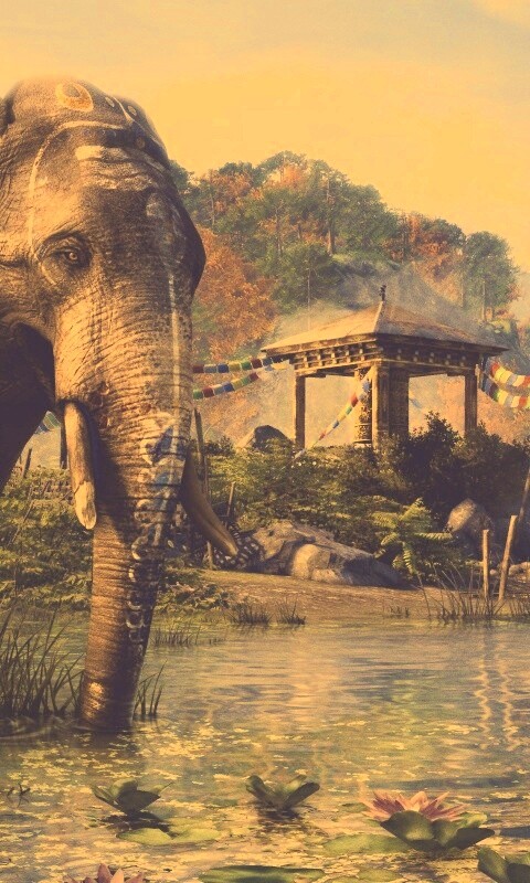 Слоники у воды обои